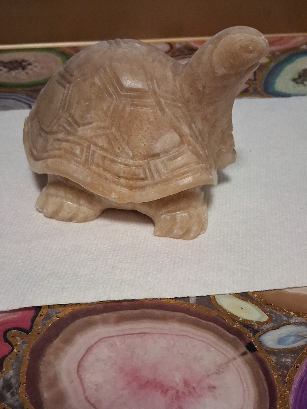 Hand-Carved Beige Stone Turtle Figurine - Home Accents